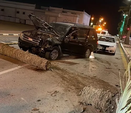 عنك.. سائق فقد وعيه فاصطدم بنخلة فسقطت على سيارته