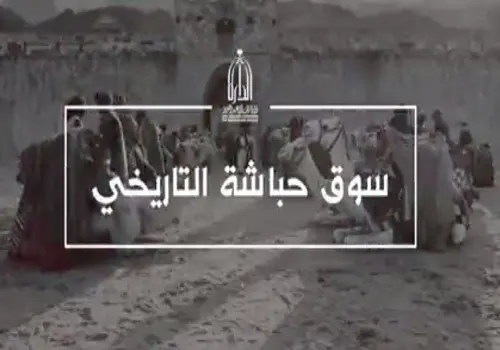إنجاز علمي جديد.. فريق سعودي يحدد موقع سوق حباشة التاريخي