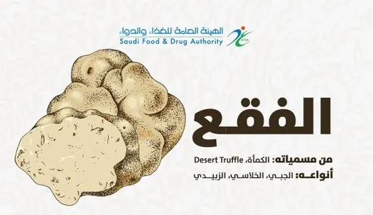 نصيحة من الغذاء والدواء: تخزين “الفقع” بغير السلق والتجميد يُفقده نكهته