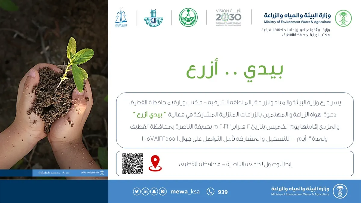 غداً في حديقة الناصرة.. فحص مجّاني للقطط والطيور والحيوانات الأليفة