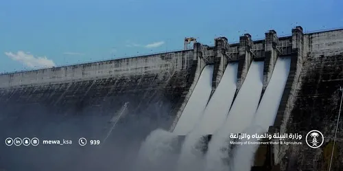 “البيئة”: متوسط أمطار يناير الأعلى منذ 40 عاماً