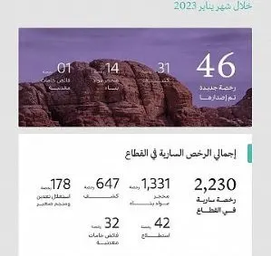 يناير.. “الصناعة” تصدر 31 رخصة كشف و15 رخصة محجر وخدمات معدنية