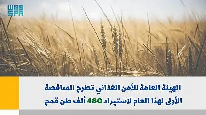 طرح مناقصة لاستيراد 480 ألف طن قمح