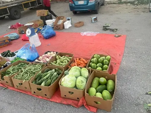 الدمام.. بلاغ مواطن يقود إلى باعة مخالفين في حي المنار