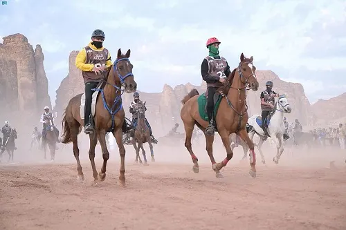 40 دولة.. 200 فارس يتنافسون في بطولة كأس الملك للقدرة