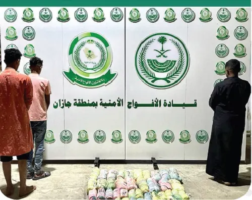 تهريب القات مستمر.. والعيون الساهرة حاضرة