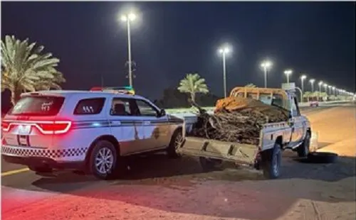 القبض على 3 مخالفين للبيئة في الشرقية وتبوك