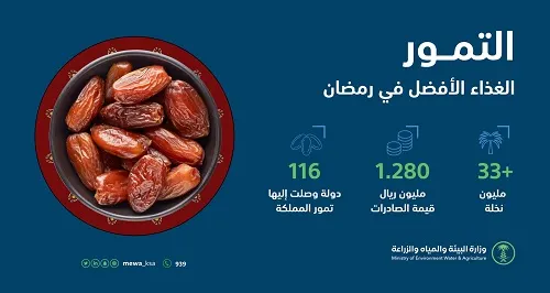 التمور السعودية “بترول” جديد.. الصادرات ترتفع 125% وتحقق مليار و280 مليون
