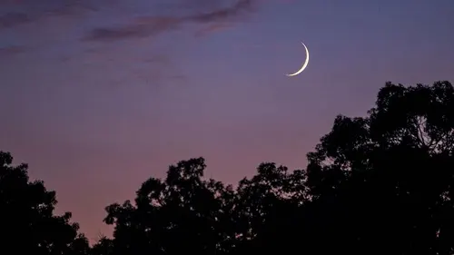 أين تذهب في رمضان؟.. السعوديون يكشفون خططهم لشهر الصيام