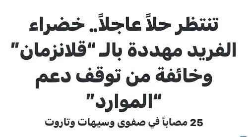 وليّ العهد يُعيد مواطنتين من صفوى إلى قائمة مستحقي ذوي الإعاقة