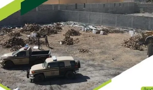 الإطاحة بـ 64 مخالفاً لنظام البيئة في 3 مناطق