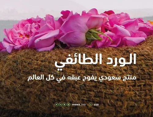 ورد الطائف.. استثمارات بأكثر من 64 مليون ريال