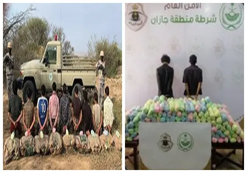 تهريب “القات” مستمر في جازان.. والأمن بالمرصاد