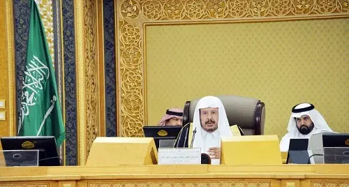 مجلس الشورى يطالب الطيران المدني بتخفيض رسوم الشحن وأسعار التذاكر