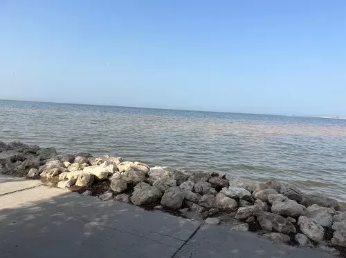 لا جديد.. بحر سيهات ملوّث.. ولا أحد مسؤولاً عن الأزمة المزمنة