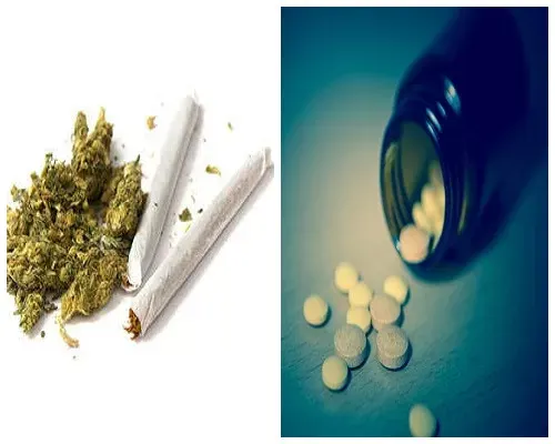 #الحرب_على_المخدرات.. موت الضمير في نفثة دخان