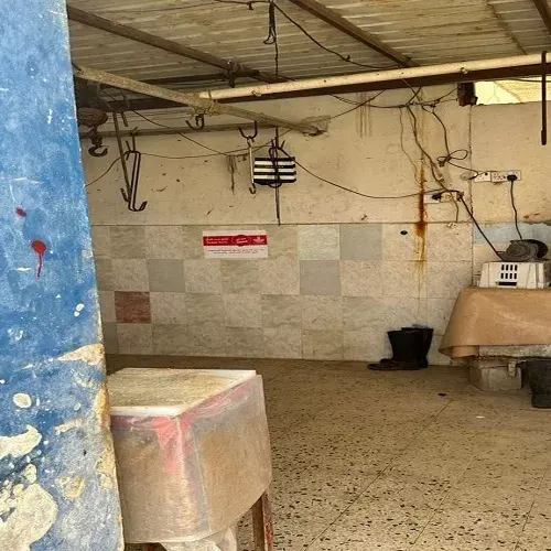 21 مسلخاً لاستقبال الأضاحي.. والبيئة تحذر من الذبح العشوائي