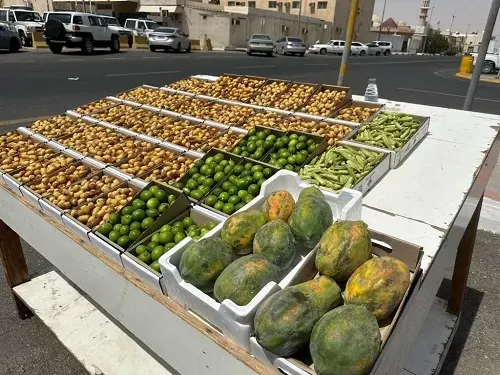 الشرقية.. تمكين الشباب في أسواق النفع العام