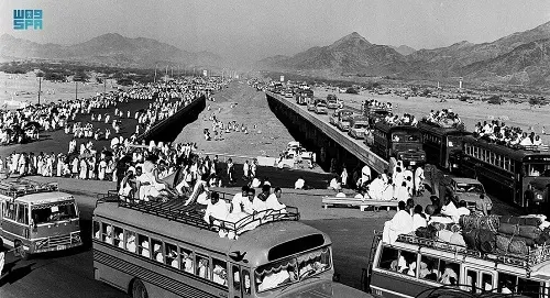 هيئة الإحصاء: 99 مليون حاج في 54 سنة