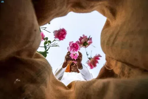 مكوّنات ثقافتنا