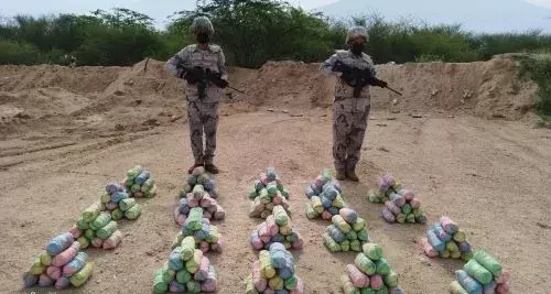 جازان.. حرس الحدود بحبط تهريب 240 كيلو قات