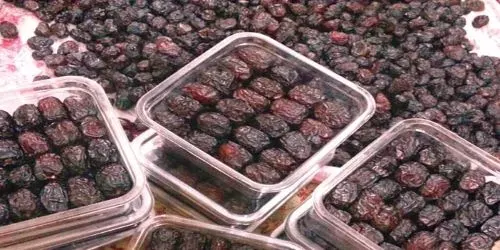 تأسيس شركة “تراث المدينة” لتسويق “العجوة” محلياً ودولياً