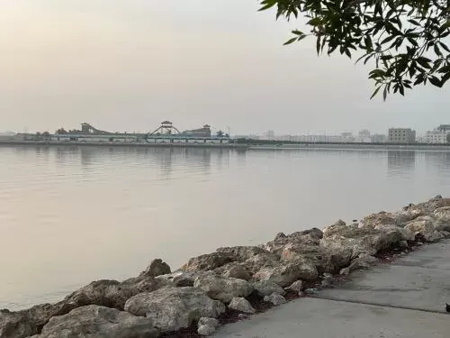 “الأرصاد” توقعت الضباب.. فجاءت الرطوبة وحدها