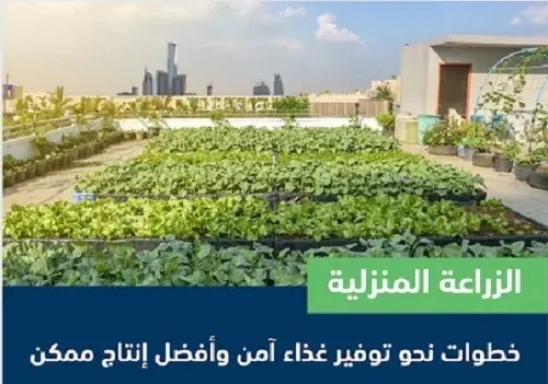 الزراعة تكشف شروط نجاح الزراعة المنزلية