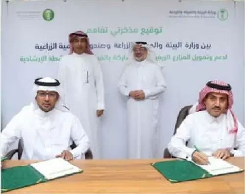 دعم وتمويل المزارع الريفية وزيادة كفاءتها الإنتاجية