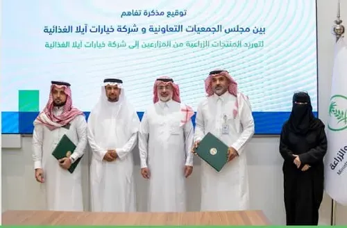 البيئة: تحويل المنتجات النباتية إلى بدائل لحوم ومشتقات ألبان