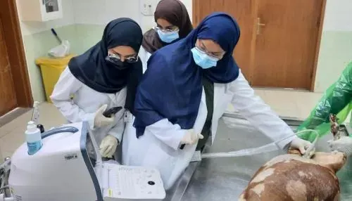 زراعة الشرقية تنهي تدريب طلاب كلية الطب البيطري