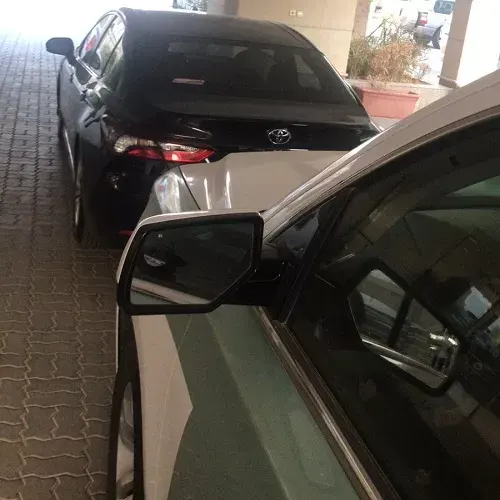 الرياض.. ضبط معرقل حركة السير وإحالته إلى الهيئة المرورية