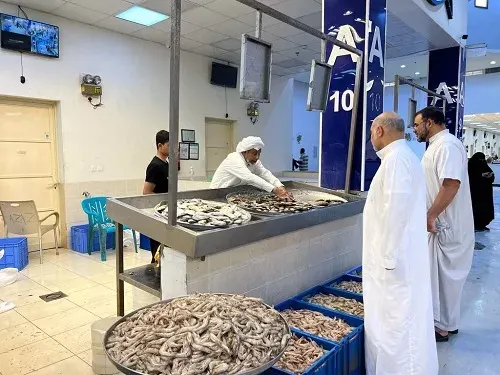 موسم الروبيان.. الزوار يتوافدون على جزيرة الأسماك في القطيف
