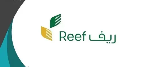 في سنة.. السعوديون يقفزون بإنتاج العسل إلى 3748 طناً بزيادة 49%