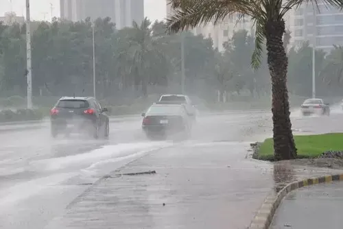طقس السبت.. أمطار رعدية مصحوبة برياح نشطة في الشرقية
