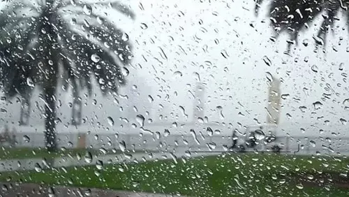 بدءًا من غدٍ الجمعة.. الدفاع المدني يحذّر من أمطار خطرة غرباً وجنوباً
