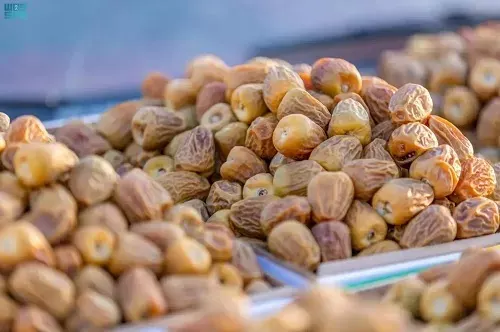 لتسويق منتجات أكثر من 11 مليون نخلة.. انطلاق مهرجان بريدة للتمور