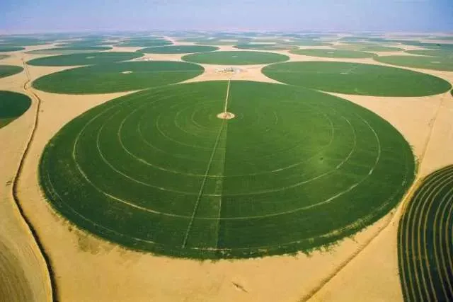 ماذا يقدم صندوق التنمية الزراعية بعد إقرار نظامه الجديد..؟