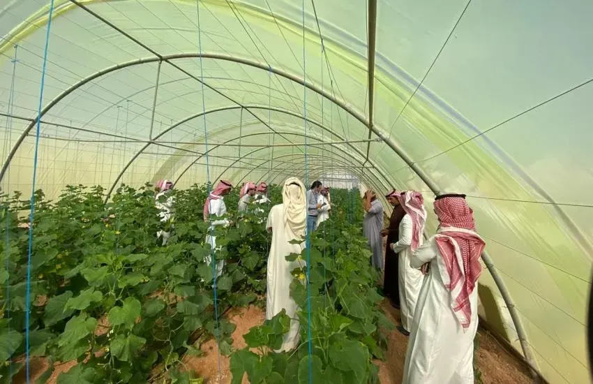 صندوق التنمية الزراعية يطلق منتج تمويل المزارع الريفية