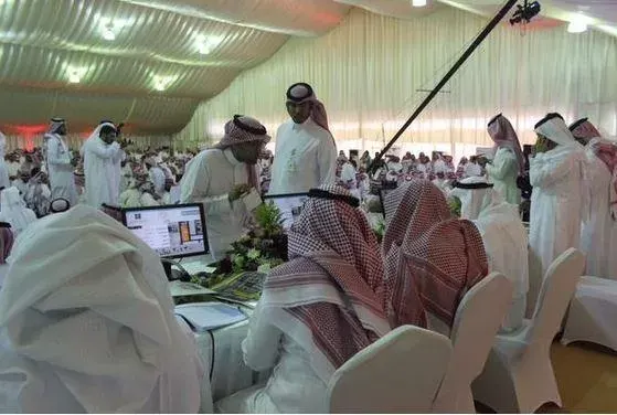 “تصفية”: مزاد على أراضٍ بـ “نصف القمر”.. الثلاثاء