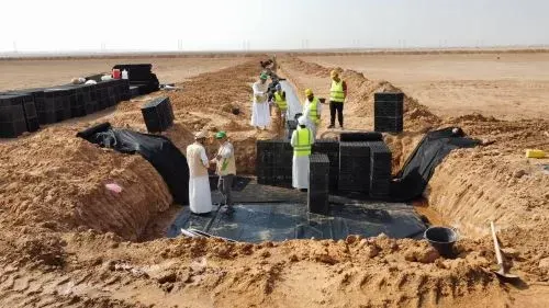 “الغطاء النباتي”: تأهيل “سبخة غويمض” وتجهيزها للتشجير