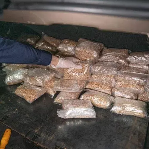 البطحاء: إحباط تهريب أكثر من 183 ألف حبة كبتاجون