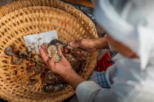 مهرجان النهّام.. فالق المحار يبحث عن اللؤلؤ في الدمام