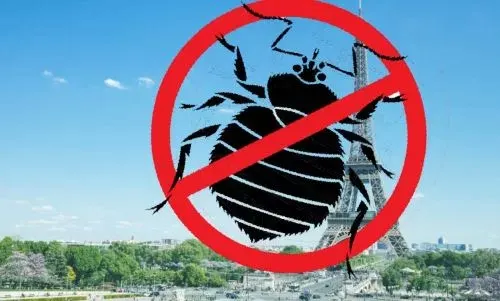 نزعة عنصرية.. اعلامي يربط انتشار "البق" بتزايد أعداد المهاجرين غير النظاميين من العالم] “بق الفراش” يعلن الحرب على فرنسا.. ومخاوف لدى المغاربة من أضرار محتملة