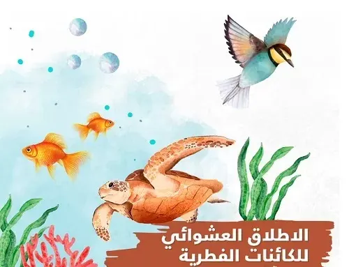 الغرامة 100 ألف.. إطلاق الكائنات الفطرية عشوائياً يهدد البيئة