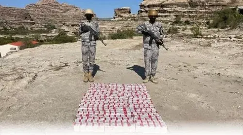 عسير.. إحباط تهريب 51 ألف حبة مشبوهة في الربوعة