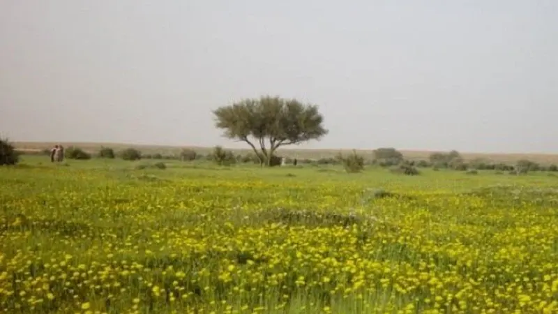 مدته 52 يوماً.. هل يُلطّف “الوسم” حرارة أكتوبر غير المعتادة..؟