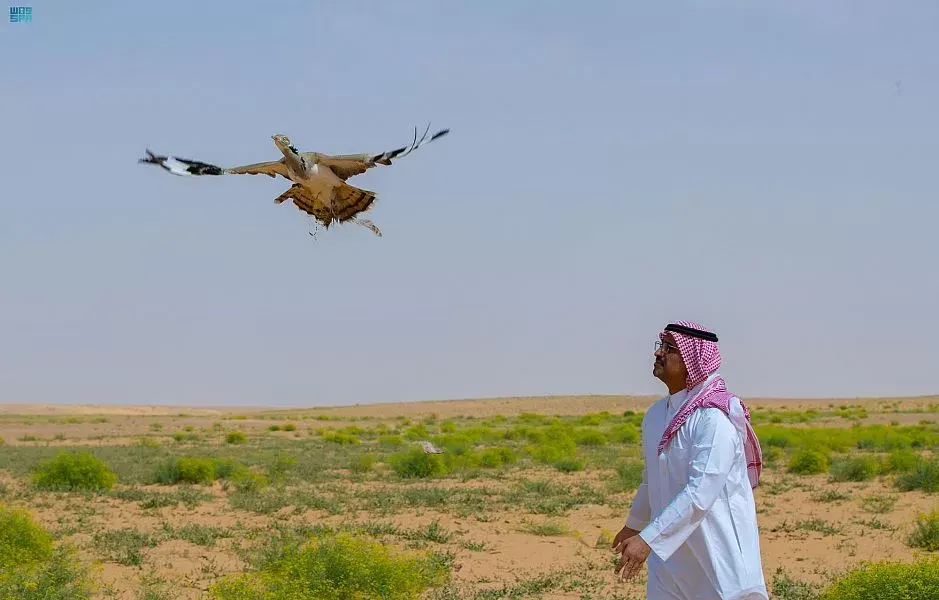 تمكين الجمعيات البيئة للمشاركة في تنمية الغطاء النباتي