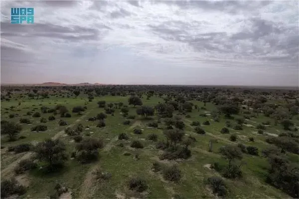 ١٥ منشأة سياحية تروج لزيارة “محمية الإمام عبدالعزيز”