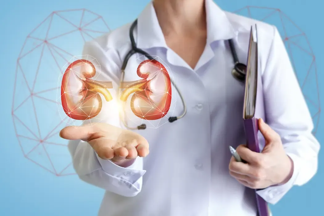 9 نصائح للحفاظ على سلامة الكليتين